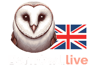 Barn Owl Live