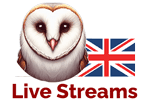 Barn Owl Live