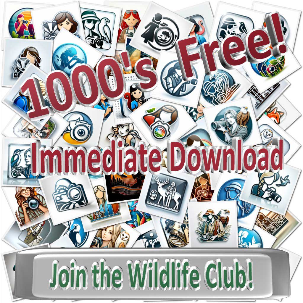 1000s Free 2