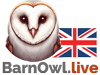 Barn Owl Live