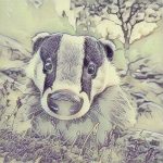 Wildlife illustration 117, free to download from BarnOwl.live