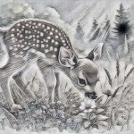 Wildlife illustration 137, free to download from BarnOwl.live
