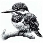 Wildlife illustration 51, free to download from BarnOwl.live