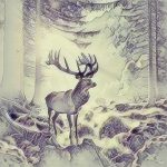 Wildlife illustration 96, free to download from BarnOwl.live