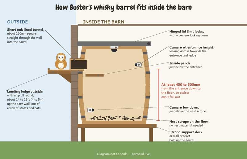Diagram of a whisky barrel barn owl nest box inside a barn, with an oak lined tunnel through the wall, a landing ledge outside, inside perches, cameras and a nest scrape
