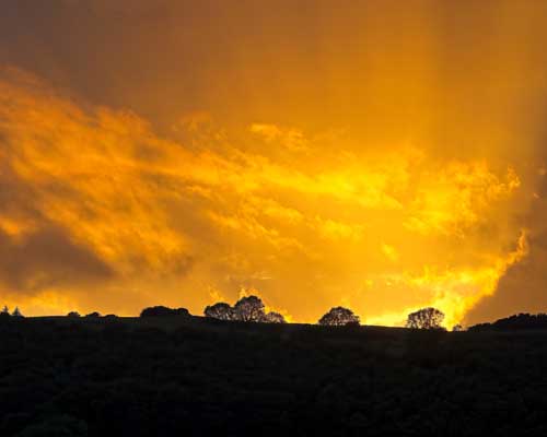 Trees silhouetted against a fiery orange sunset over the Peak District hills