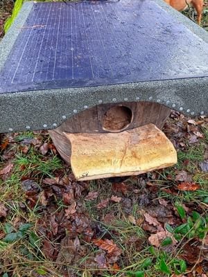 A barrel nest box for tawny owls with a solar panel roof and a wooden landing perch