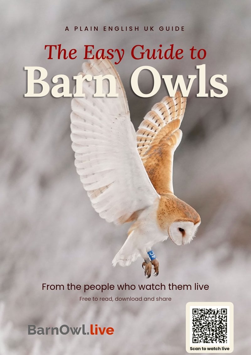 Cover of The Easy Guide to Barn Owls, showing a Barn Owl in flight carrying a vole
