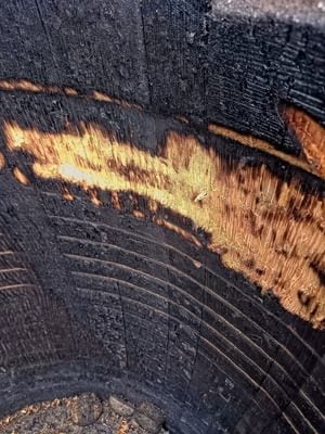 The first patch of clean oak showing through the charring inside a barrel