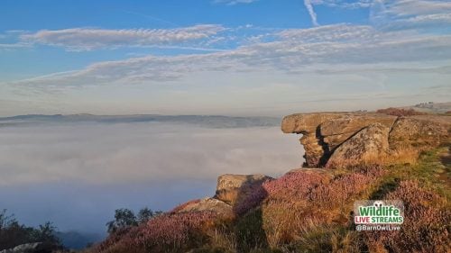 Peak-District-View-ScreenSaver-02